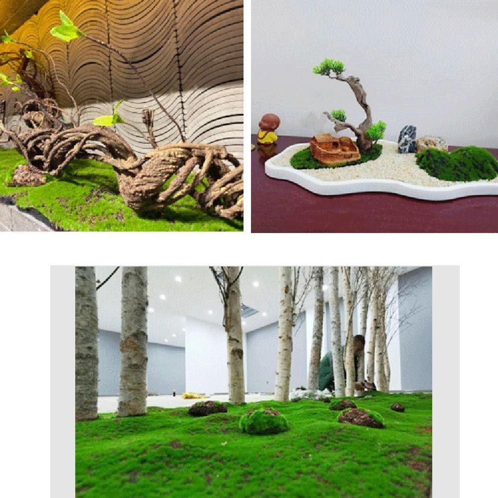 DIY بها بنفسك عشب الطحلب المزي - مراجعة Preserved Moss Sheet وسعره