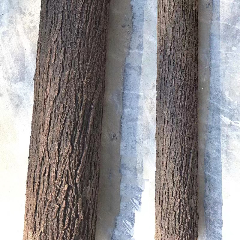 لحاء مطاط صناعي ناعم ، نبات مز - مراجعة Preserved Moss Sheet وسعره
