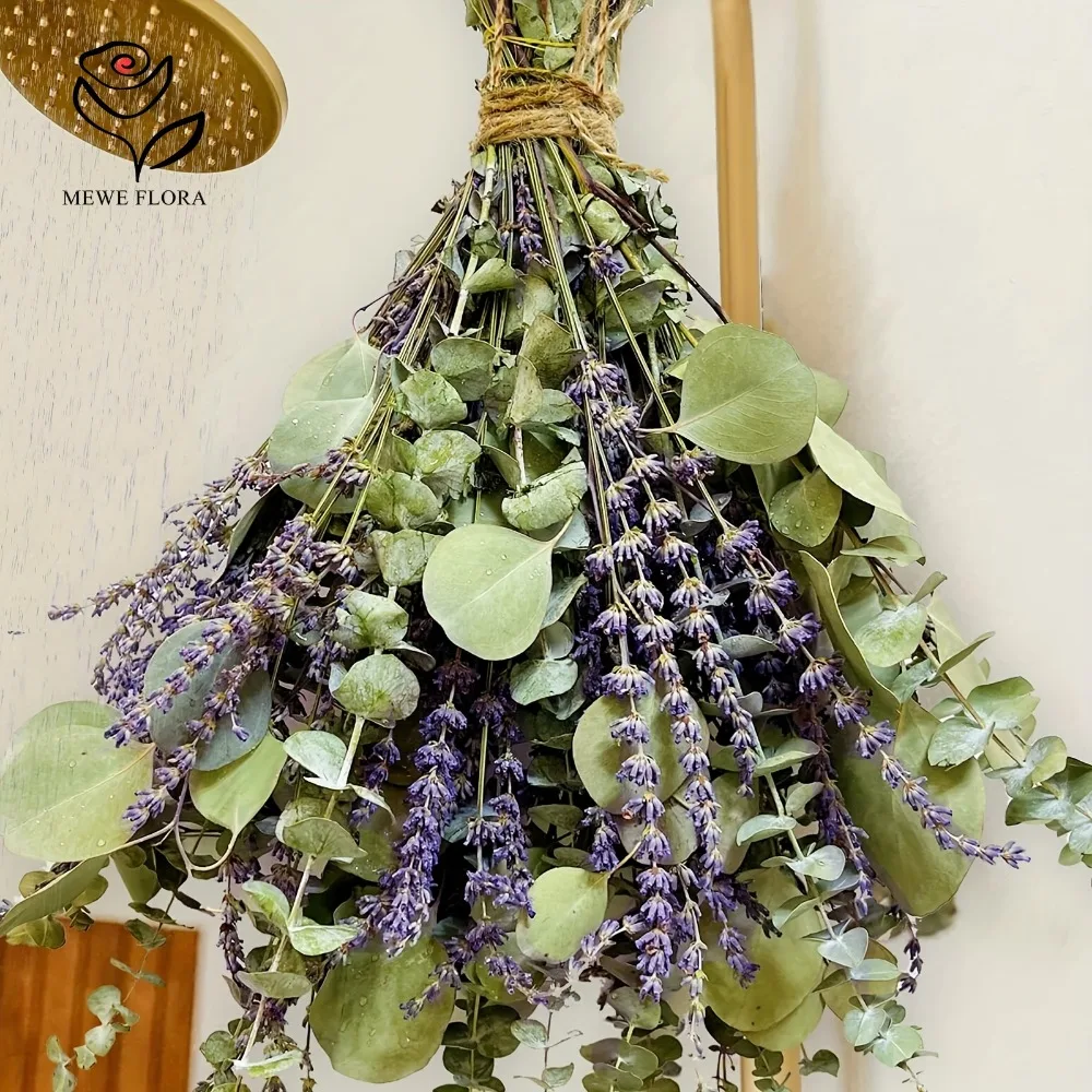 30 قطعة الزهور المجففة المحفوظ - مراجعة Eucalyptus Preserved وسعره